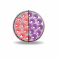 4″ Red Stop, Turn & Tail to Purple Auxiliary Round LED Light – 19 Diodes